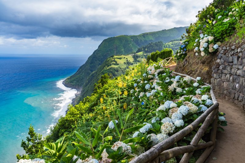 Path with Hydrangeas